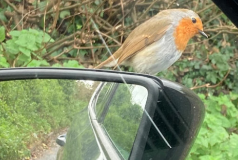 Christmas & New Year Deliveries