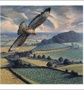 Buzzard In Flight by James Lynch