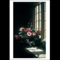 Tulips On Stone Window Sill by Paula Weideger